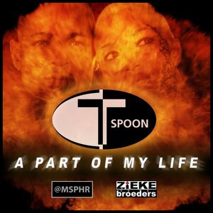 T-Spoon 6