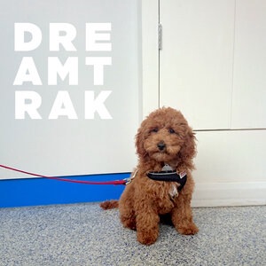 Dreamtrak 1