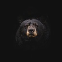 I'm not Roddy Ricch but blackbear give me some vibe it was 6LACK