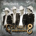 No Podria Estar Sin Ti