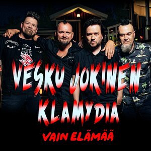 Enkelin silmin (Vain elämää kausi 11)