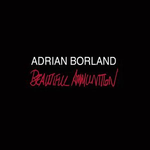 Adrian Borland 2