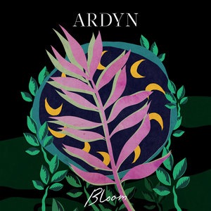 Ardyn 5