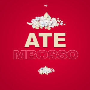 Mbosso 4