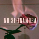 No Se Enamora