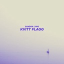 Kvitt flagg