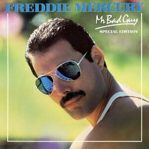 Freddie Mercury 7