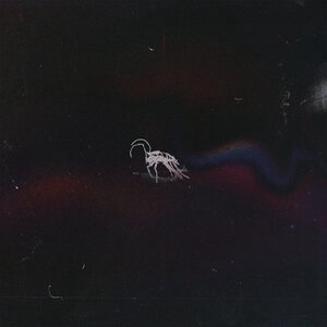 du hast mein herz im darknet verkauft