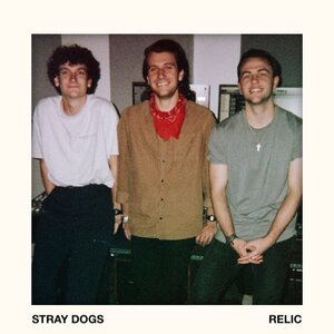 Stray Dogs