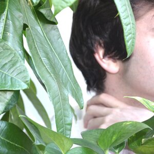 Speech Bubble Pts. 2 & 3