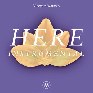 Vineyard Worship 11