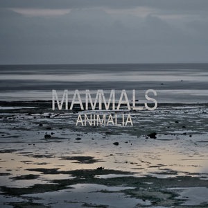 Mammals 4