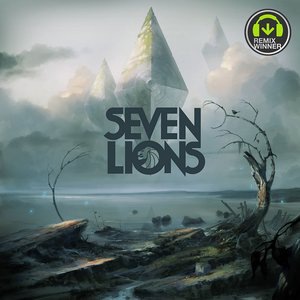 Seven Lions 14