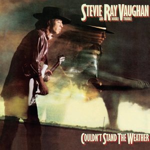 Stevie Ray Vaughan 14