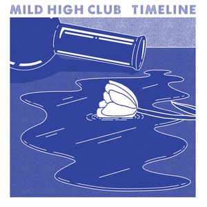 Mild High Club 2