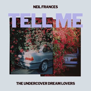 The Undercover Dream Lovers 4