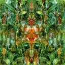 The Labouring Man's Daughter