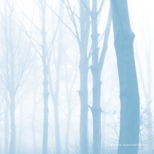 Yesterday's Forgotten