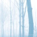 Yesterday's Forgotten