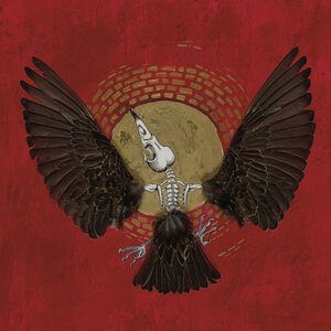 Jason Molina 6