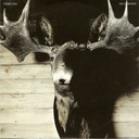 You Can't Say No to Me