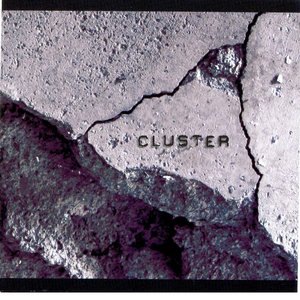 Cluster 2