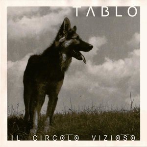 Tablo 6