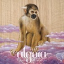 Sombra de Reptil Gigante