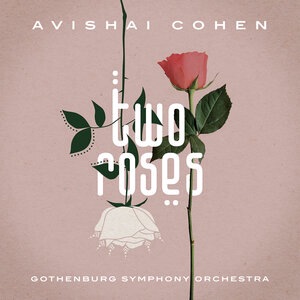 Avishai Cohen 7