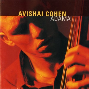 Avishai Cohen 1