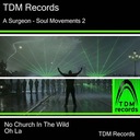 No Church in the Wild