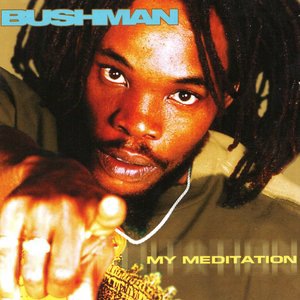 Bushman 11