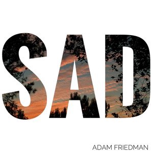 Adam Friedman 2