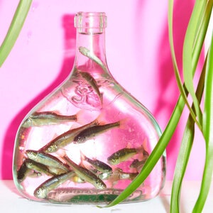 Again (For the First Time)