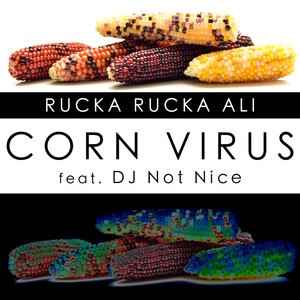 Rucka Rucka Ali 9