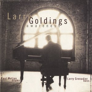 Larry Goldings 3