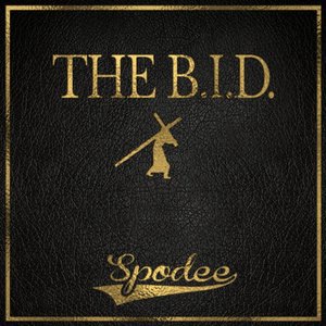 Spodee 8