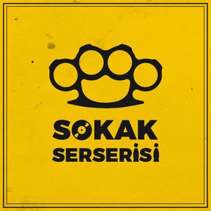 Sokak Serserisi