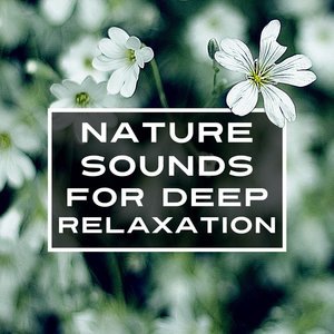 Nature Sounds 4