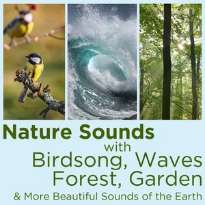 Nature Sounds 3