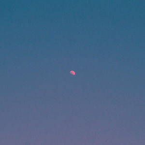 But There's Still the Moon