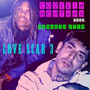 Coqeein Montana 12