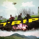 Trip