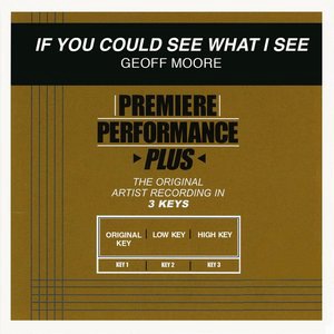 If You Could See What I See