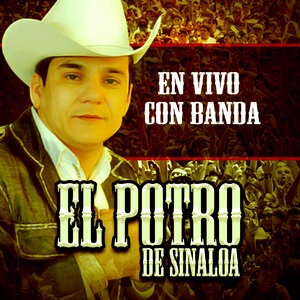 El Potro De Sinaloa 4