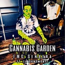 Cannabis Garden