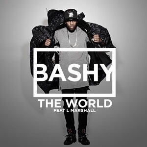 Bashy 4