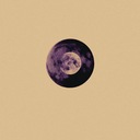 Gone in Bloom and Bough