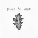 Es Tevi Pamīlētu Tā