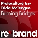 Burning Bridges